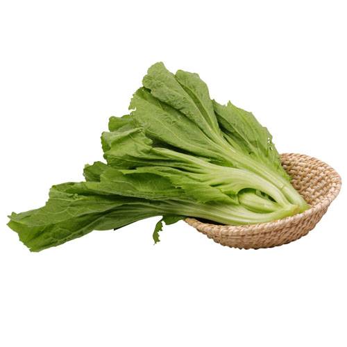 大芥菜